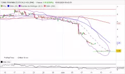 TONIX PHARMACEUTICALS HOLDING - 1 Std.