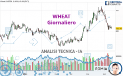 WHEAT - Giornaliero