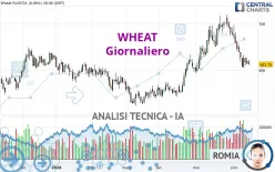 WHEAT - Giornaliero