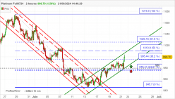 PLATINUM - 2H