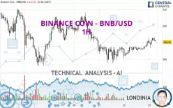 BINANCE COIN - BNB/USD - 1H