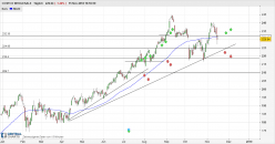 COSTCO WHOLESALE - Giornaliero