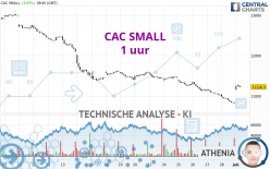 CAC SMALL - 1 uur