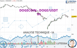 DOGECOIN - DOGE/USDT - 1H