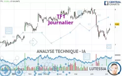 TF1 - Journalier