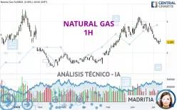 NATURAL GAS - 1 uur