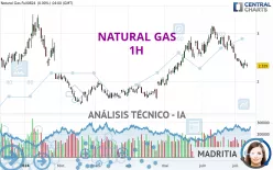 NATURAL GAS - 1 uur