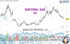 NATURAL GAS - 1 uur