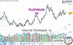 PLATINUM - 1 uur