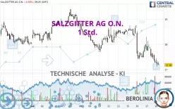 SALZGITTER AG O.N. - 1 Std.