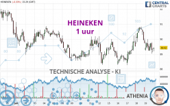 HEINEKEN - 1 uur