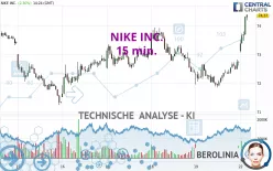 NIKE INC. - 15 min.