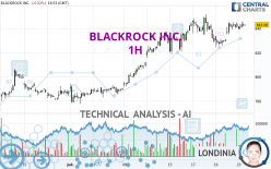 BLACKROCK INC. - 1H