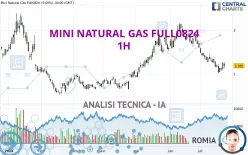 MINI NATURAL GAS FULL0125 - 1H