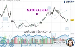 NATURAL GAS - 1 uur