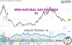 MINI NATURAL GAS FULL0125 - 1H