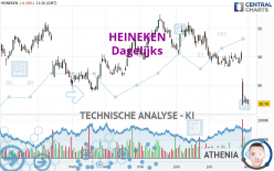 HEINEKEN - Dagelijks