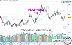 PLATINUM - 1 uur