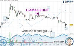 LLAMA GROUP - 1H