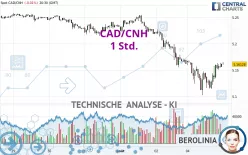 CAD/CNH - 1 Std.