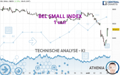 BEL SMALL INDEX - 1 uur