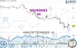 NEURONES - 1H