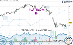 PLATINUM - 1 uur