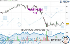 PLATINUM - 1 uur