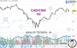 CAD/CNH - 1 uur