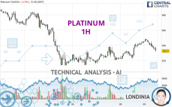 PLATINUM - 1 uur