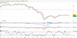 SSV.NETWORK - SSV/USDT - 2H