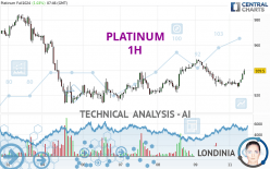 PLATINUM - 1 uur