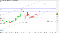 SANCHEZ ENERGY CORP. - 30 min.