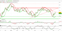 NZD/USD - Daily