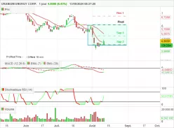 URANIUM ENERGY CORP. - Journalier