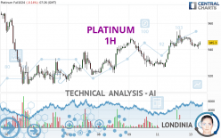 PLATINUM - 1 uur