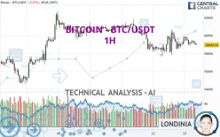 BITCOIN - BTC/USDT - 1 Std.