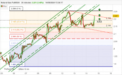 NATURAL GAS - 30 min.