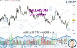 PALLADIUM - Dagelijks