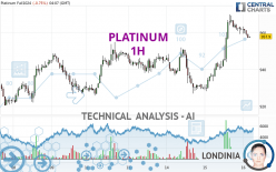 PLATINUM - 1 uur