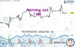 NATURAL GAS - 1 Std.