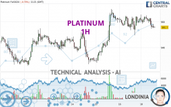 PLATINUM - 1 uur