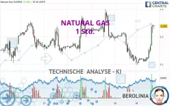 NATURAL GAS - 1 Std.