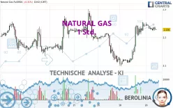 NATURAL GAS - 1 Std.