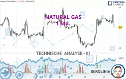 NATURAL GAS - 1 Std.