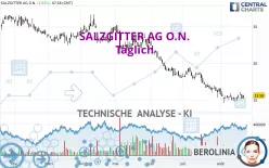 SALZGITTER AG O.N. - Täglich