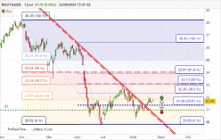 BOUYGUES - Journalier