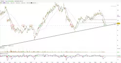 TRIGANO - Daily