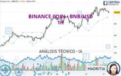 BINANCE COIN - BNB/USD - 1H