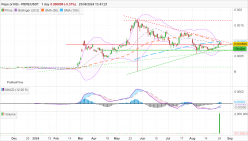 PEPE (X100) - PEPE/USDT - Täglich